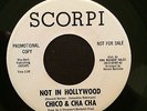 CHICO AND CHA CHA Not In Hollywood SCORPI Mod Soul West Coast Dancer LISTEN