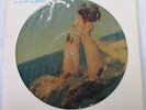 PARLIAMENT Motor Booty Affair LP MINT- PICTURE DISC PLAYED ONCE FUNKADELIC