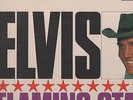 Elvis Presley - 'Flaming Star & Summer Kisses' 1965 UK RCA Mono LP. Ex