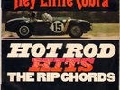 THE RIP CHORDS 