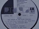 STING - BLUE TURTLES, RARE ORIG. 12