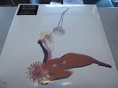 Future Islands - The Far Field - LIMITED EDITION LP WHITE 180g Vinyl /// Neu&OVP