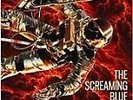 THE SCREAMING BLUE MESSIAHS - Vision in Blues [Remastered] (2016)