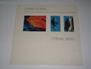 DARREN KEARNS Optimal Being LP rare electronic ambient new age PINA