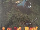 Lawn Boy by Phish (180g Vinyl 2LP),2013, Jemp Records)