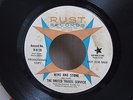 45 Vinyl Promo Record 1967 Garage Band The United Travel Service Wind and Stone