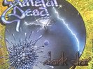 The Grateful Dead Dark Star/Born Cross Eyed Promo 1977 UK Pic Sleeve Very Rare
