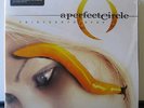 A PERFECT CIRCLE 'Thirteenth Step' Gatefold Audiophile 180g Vinyl 2LP NEW SEALED