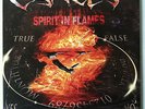 CANCER SPIRIT IN FLAMES LP 2012  VINYL DEAD NEW IMPORT COLOR VINYL LTD 250