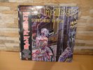 Vinyl LP (Picture Disc): Iron Maiden - Somewhere in Time (2013, 180g)