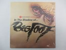 IN THE SHADOW OF BIGFOOT RARE PRIVATE VINYL LP SASQUATCH PARANORMAL GHOST UFO