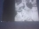 Killerpralinen s/t Mini-LP... Middle Class Fantasies, Toxoplasma, Slime