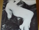SLEEPERS Painless Night LP ADOLESCENT 1981 US orig TOILING MIDGETS-PAUL CUTLER