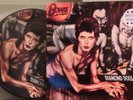 DAVID BOWIE DIAMOND DOGS LP PICTURE DISC