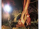 Echo and the Bunnymen Crocodiles Vinyl LP U.S. 1980 Original SIRE 6096 EX/EX