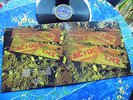 ACDC  ?  TNT AUSTRALIA ? RARE VINYL LP ALBERT RECORDS  #1A