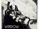 window s/t lp private texas xian psych folk