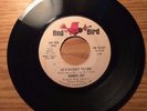 NORTHERN SOUL 45 RODDIE JOY HE'S SO EASY TO LOVE RED BIRD O31 DJ PROMO VG+ HEAR