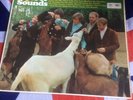 The Beach Boys Lp Pet Sounds 1966 MONO Copy Original Capitol Label.