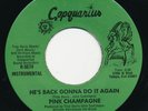 PINK CHAMPAGNE He’s Back Gonna Do It CAPQUARIUS Florida Disco Soul 45 Hear