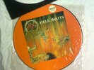 Slayer  Hell awaits Picture Lp