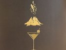 KILLS, The - Ash & Ice - Vinyl (2xLP + MP3 download code)