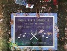 JAY REATARD ?: YOU GET NO LOVE : I AM GROWING : FINAL RECORDING :  7