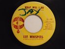 The Whispers 45 WHAT WILL I DO / REMEMBER ME   Soul Clock VG- to G+ soul