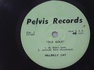 Elvis Presley & The Hillbilly Cat 