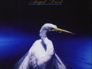 Faith No More-Angel Dust  (UK IMPORT)  Vinyl / 12