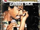GARNETT SILK - MUSIC IS THE ROD-REGGAE ANTHOLOGY 2 VINYL LP NEW