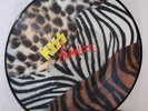 KISS - LP - PICTURE DISC - ANIMALZE  - NUMBERED - # 239 / 1500 - VINYL