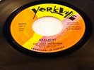 UGLY DUCKLINGS - Gaslight / Rimb Nugget - 1967 VG+ YORKVILLE LABEL - Canada 45