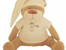 Teddy Bear Doodoo - Automatic Turn On Puts the Baby To Sleep at Night