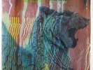 Amon Duul II - Wolf City LP - United Artists VG+ Shrink