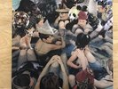 Panda Bear - Person Pitch (2007, double Vinyl, Paw Tracks)