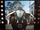 Swervedriver ?– Mezcal Head  Vinyl, LP, Album Original Nr. Mint