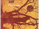 WISHBONE ASH Pilgrimage LP VINYL UK Mca 1971 7 Track Gatefold Sleeve Brown/Red