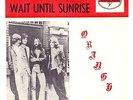ORANGE - THE SUN / WAIT TIL SUNRISE - PROG ROCK / PSYCH GARAGE - 7