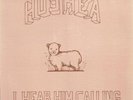Hoshea_I Hear Him Calling_LP_1980_VG+_WI. Private Rural Xian Christian folk rock