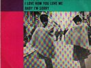 record 45 single PAUL & BARRY RYAN I LOVE HOW YOU LOVE
