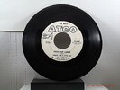 TARHEEL SLIM & LITTLE ANN -(45)- PROMO  TWO-TIME LOSER / GOODNIGHT IRENE  - 1963