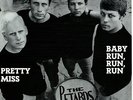 The Petards * Baby Run Run Run* MINT aus ARCHIV