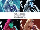 Walter Lure & The Waldos - Live In Brooklyn VINYL RSD 2017 RECORD STORE DAY