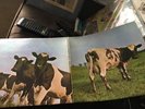 PINK FLOYD Atom Heart Mother LP HARVEST 1970