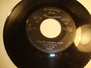 Rare Detroit Northern Soul 45 E.J. & the Echoes “…Gonna Hurt” Hear