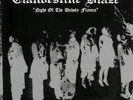Clandestine Blaze - Night of the Unholy Flames LP 2016 black metal Finland