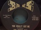 The Other Five Rare Indiana Garage 45 You Really Got Me / Better Come Home