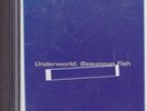 Underworld-Beaucoup Fish Minidisc album