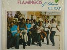 Flamingos 